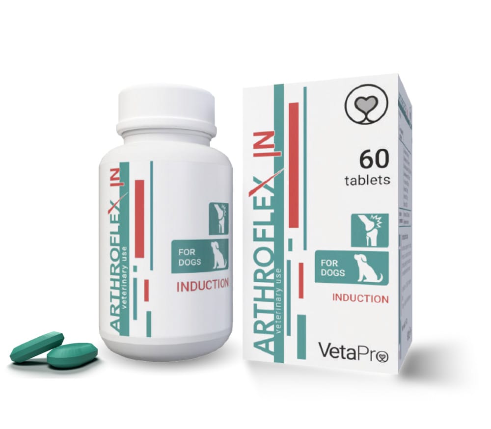 ArthroFlex Joint Support Capsules 60 capsules